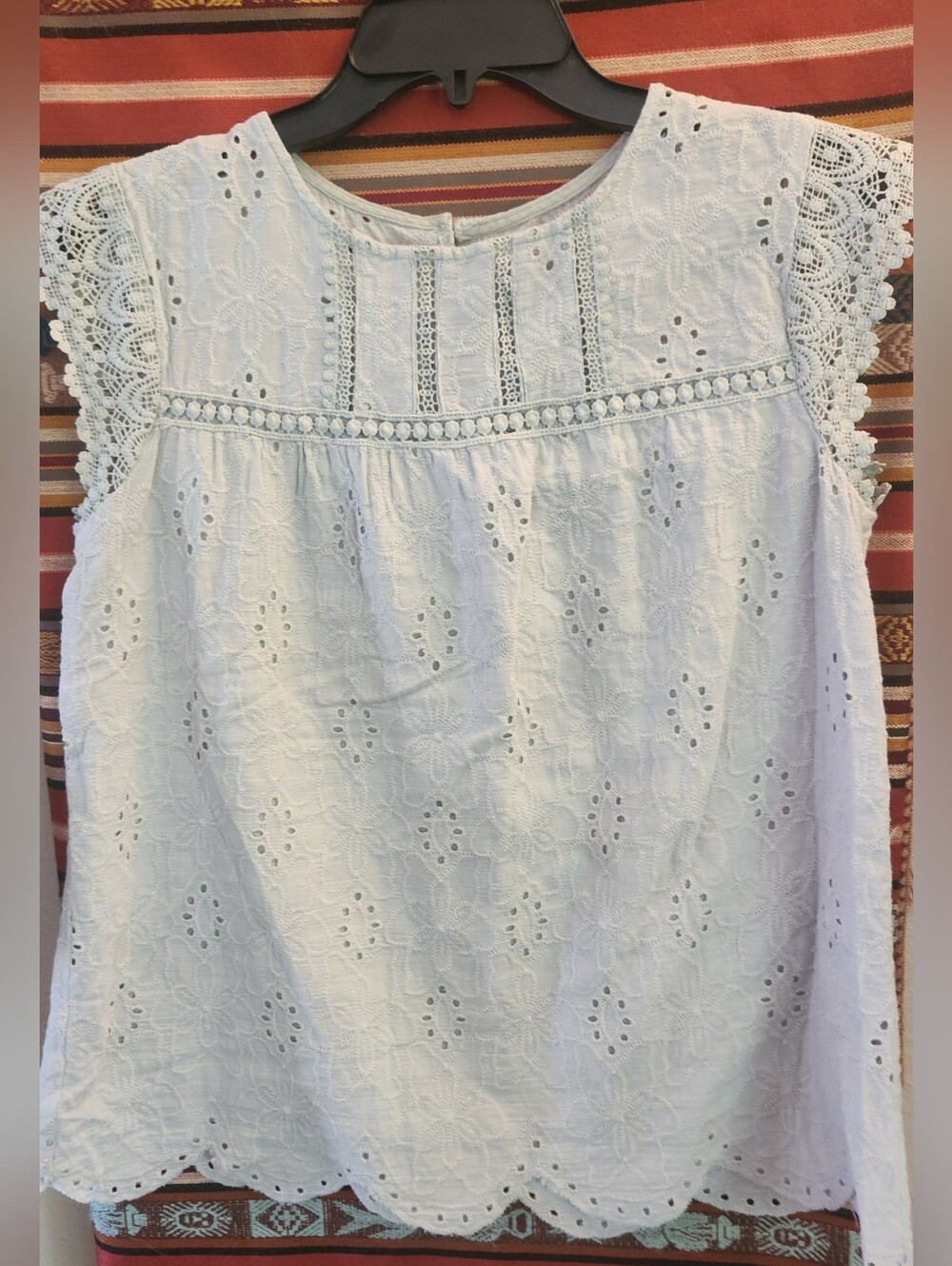 T17 Delicate Pale green Eyelet Embroidered blouse lacy cap sleeves scalloped hem